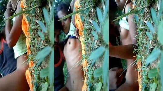 Village Girl Fucked Outdoors By Her Lover MMS Video