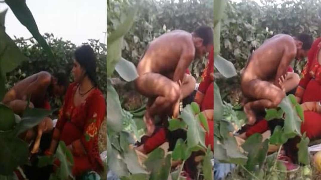 Swapping Couples Hot Dehati Sex Scandal MMS