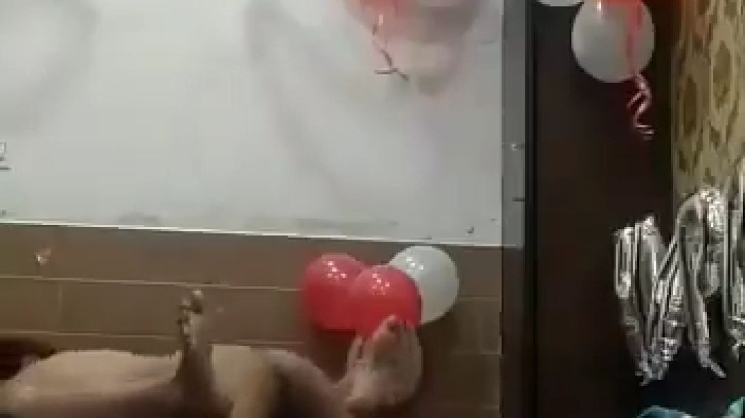 ⁣Birthday celebration