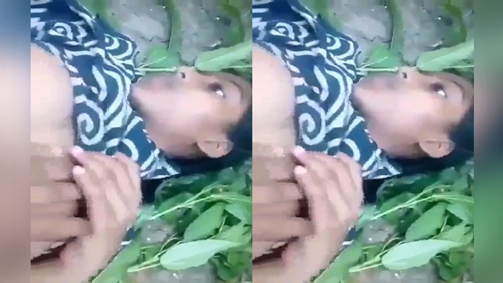 Today Exclusive- Desi Lovers Fucking Jungle Porn Videos